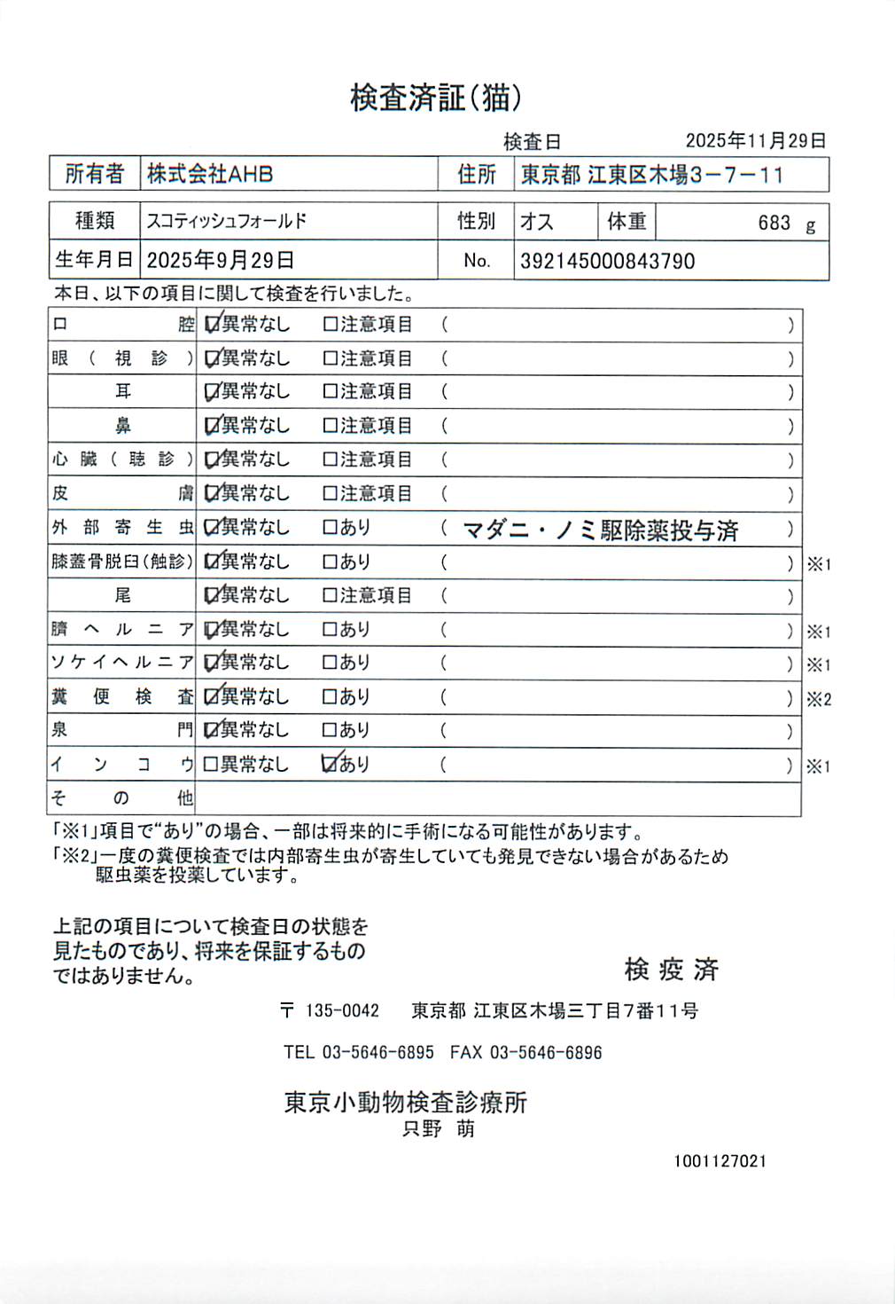 スコティッシュフォールド