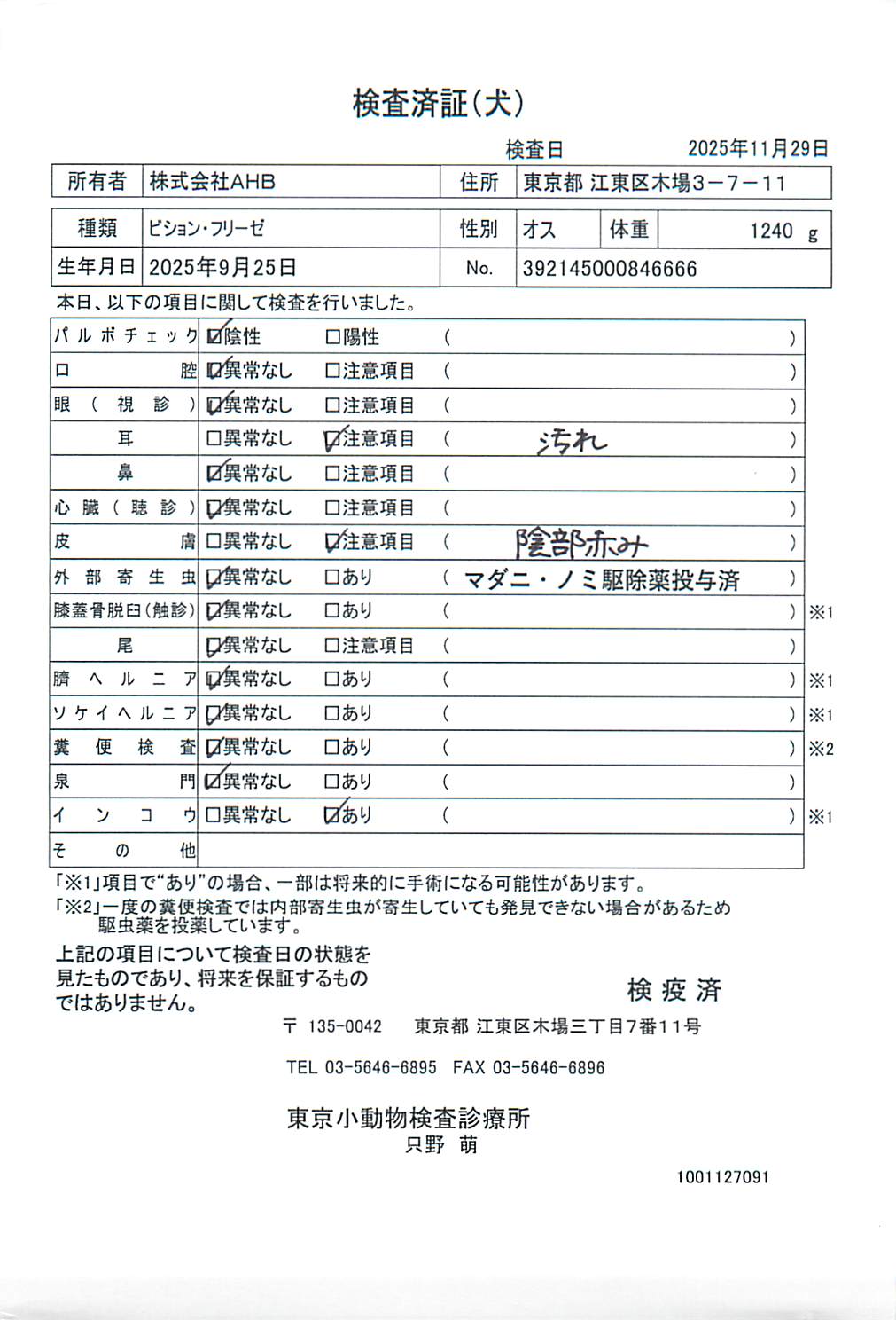 ビション・フリーゼ