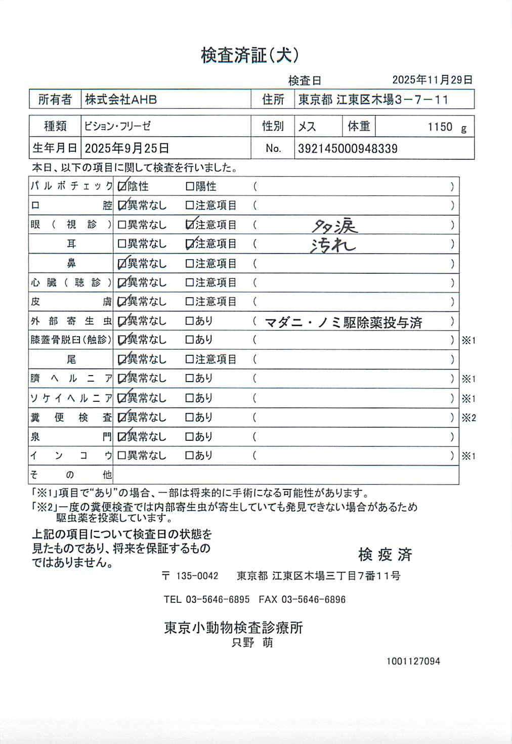 ビション・フリーゼ