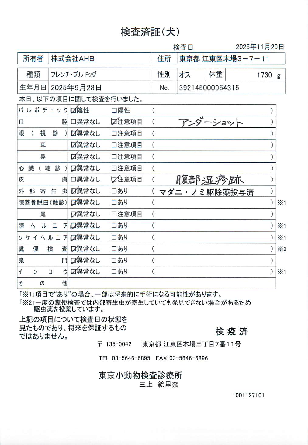 フレンチ・ブルドッグ