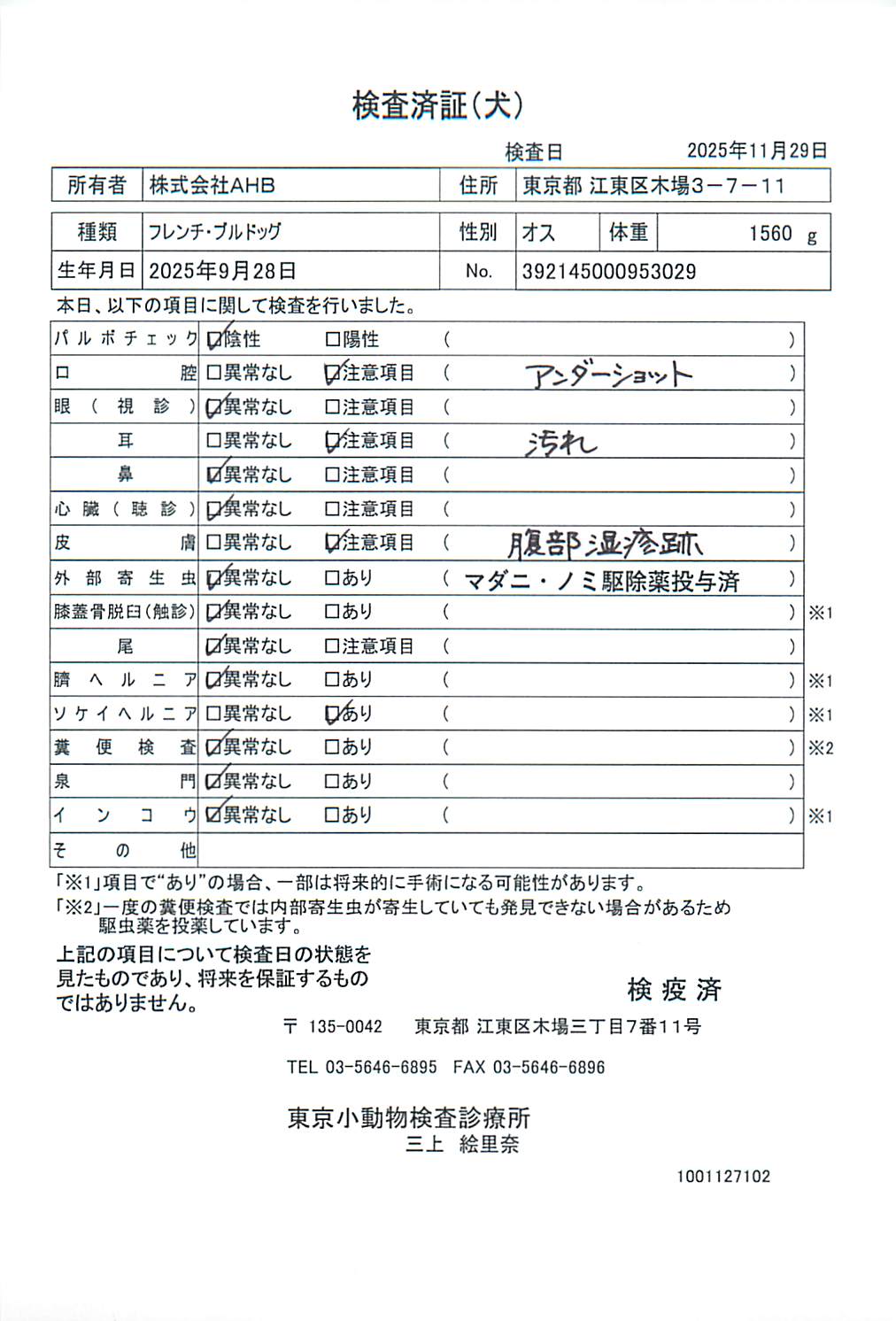 フレンチ・ブルドッグ