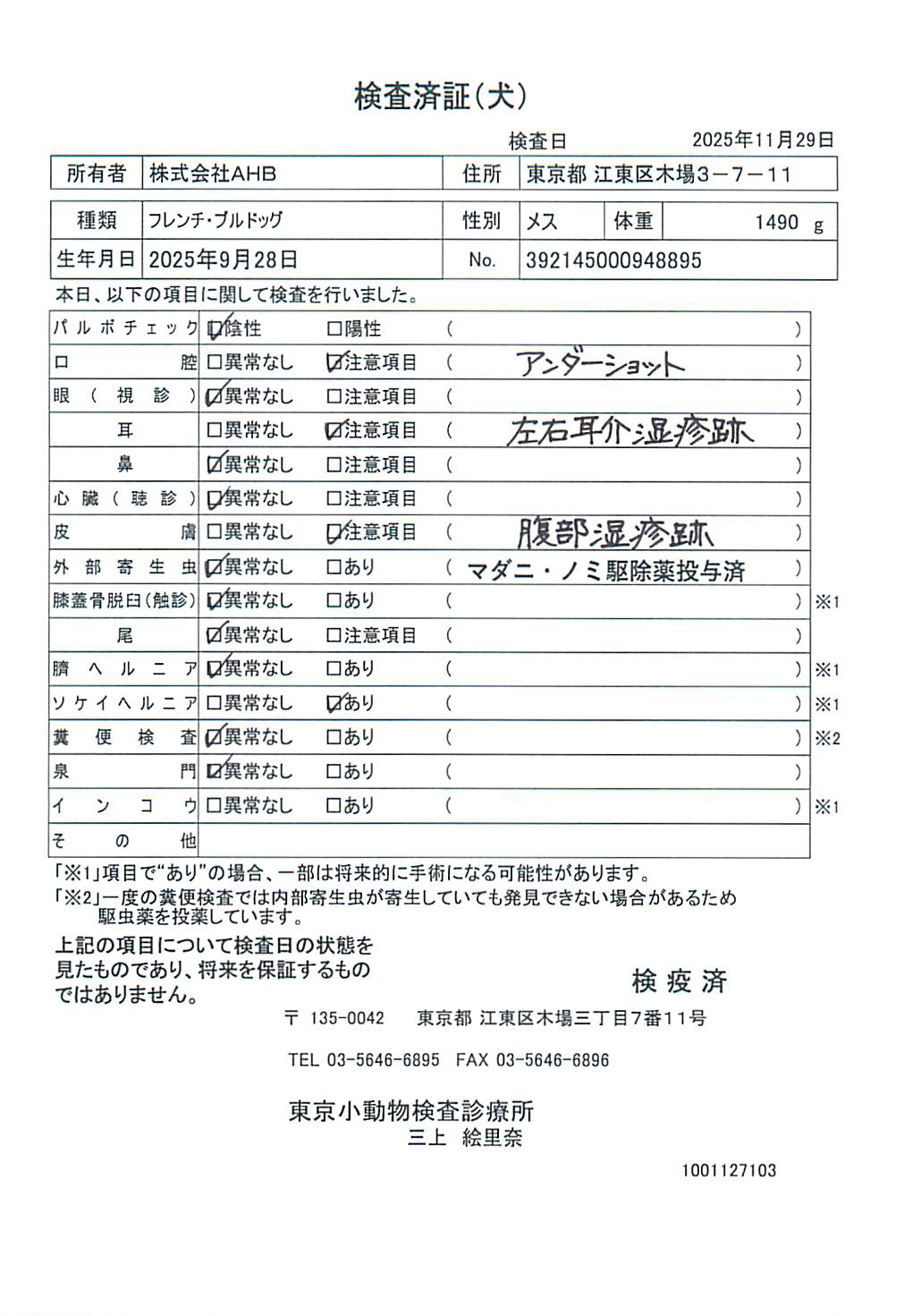 フレンチ・ブルドッグ