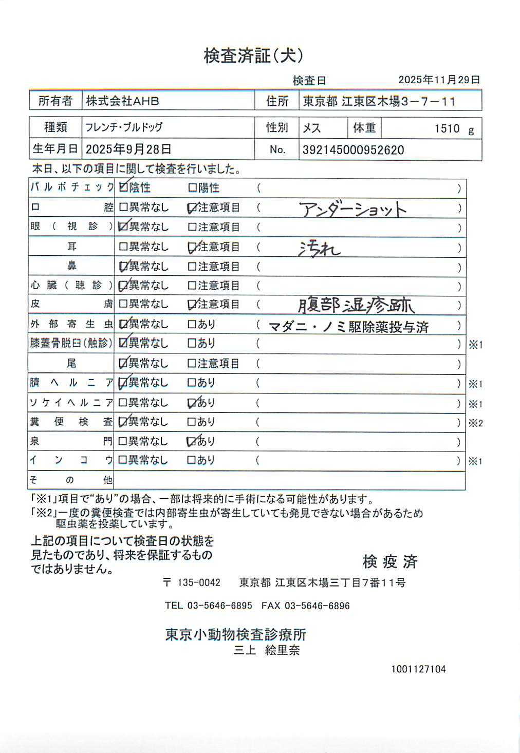 フレンチ・ブルドッグ