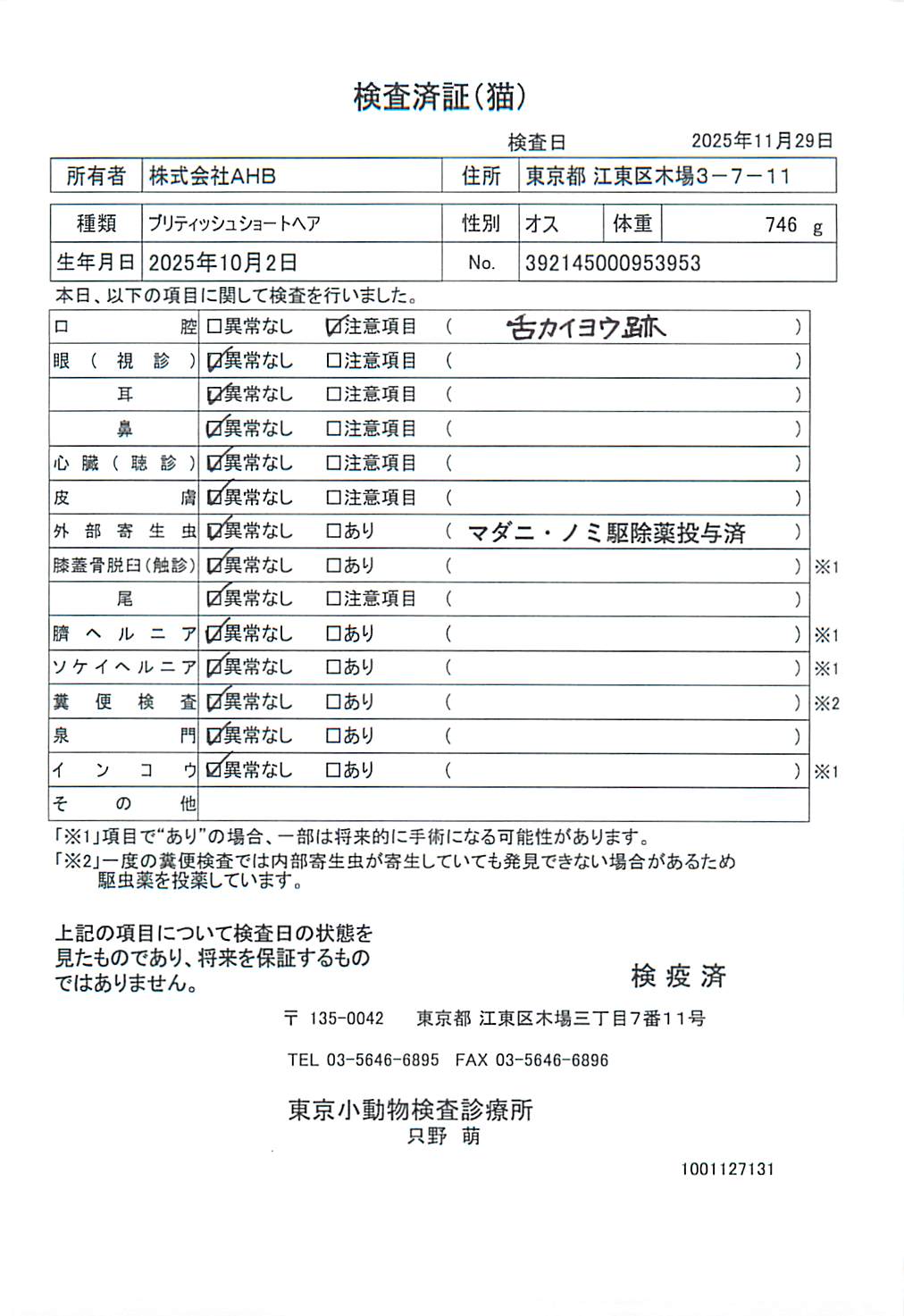 ブリティッシュショートヘア