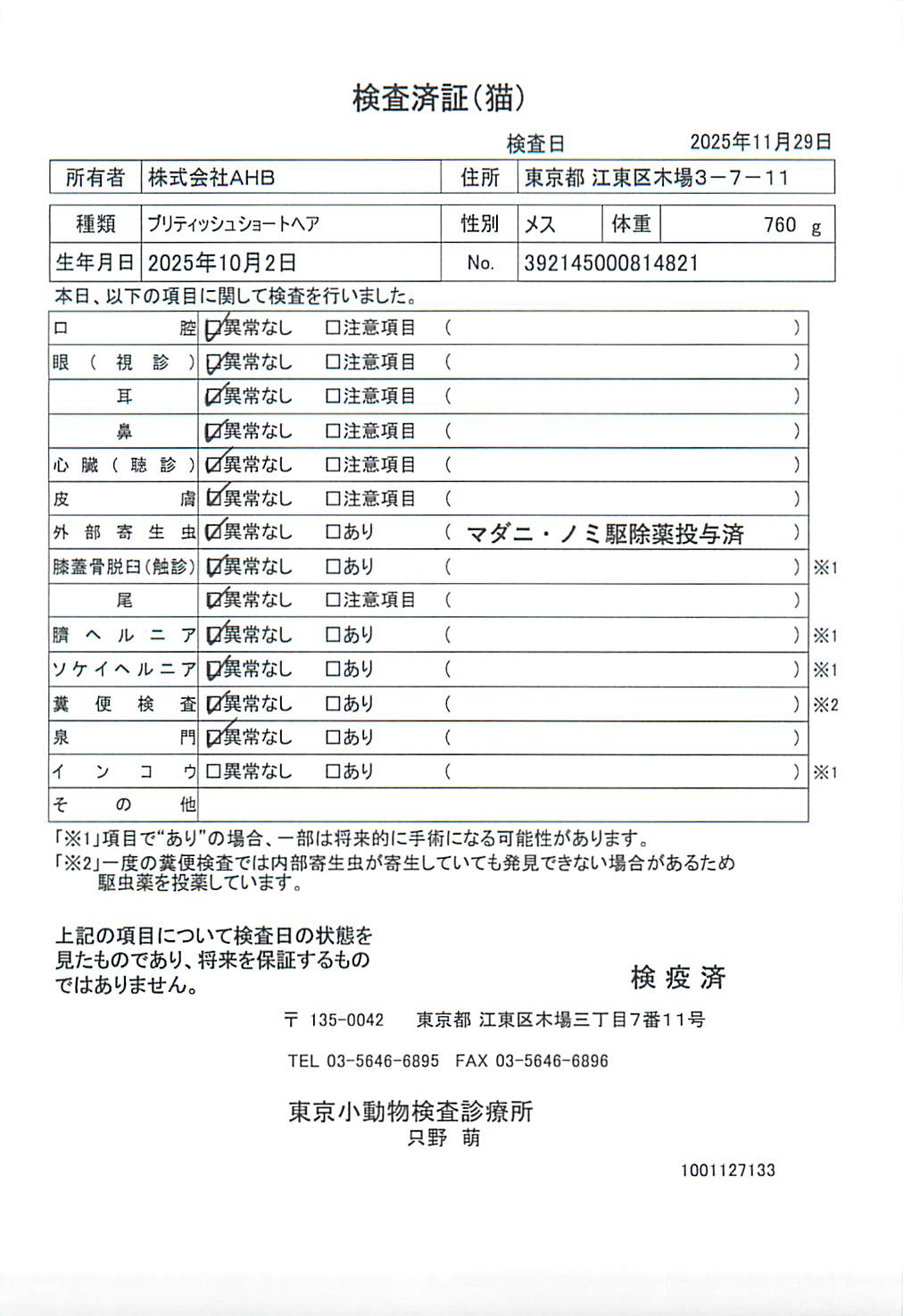 ブリティッシュショートヘア