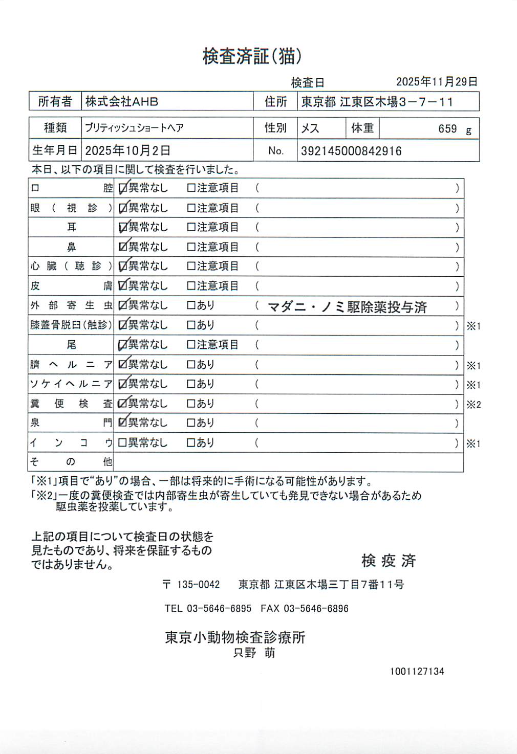 ブリティッシュショートヘア