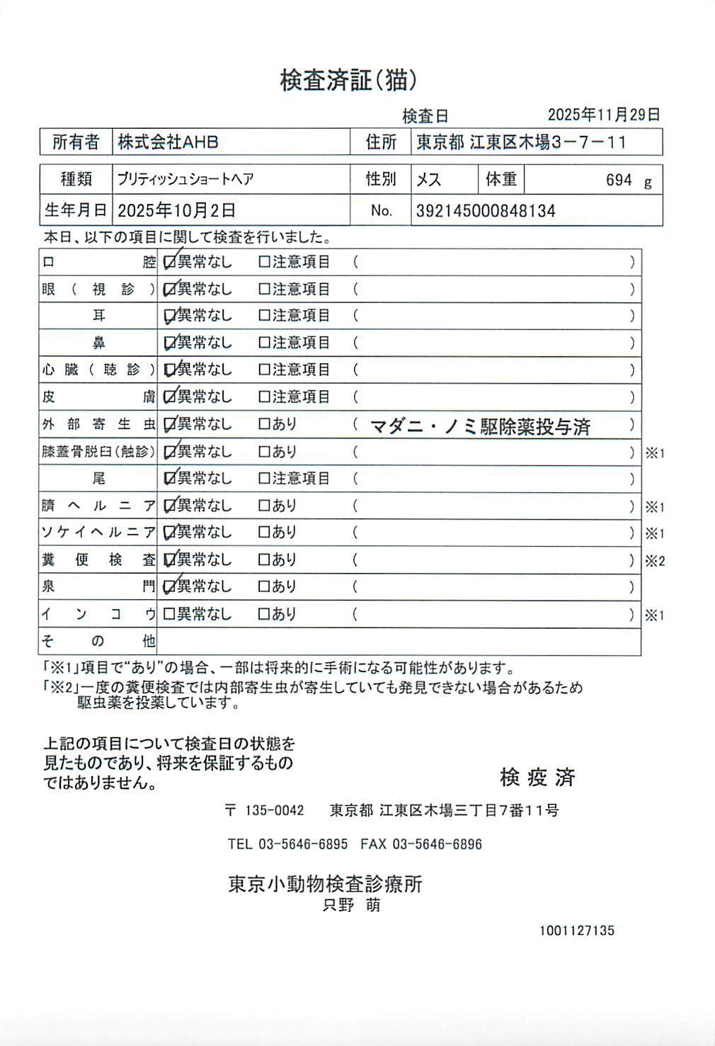 ブリティッシュショートヘア