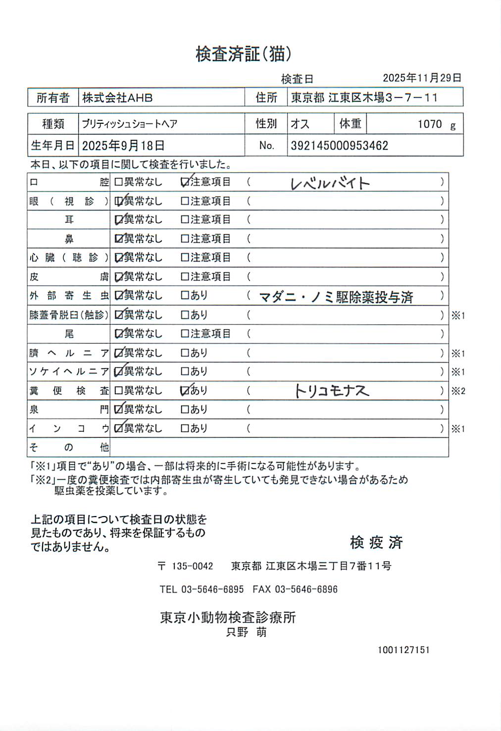 ブリティッシュショートヘア