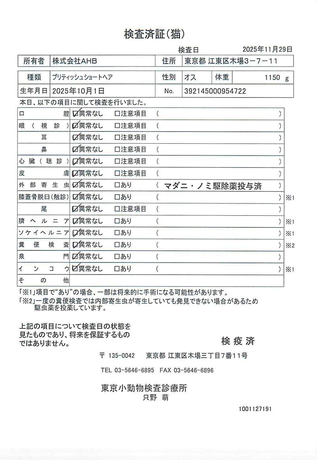 ブリティッシュショートヘア