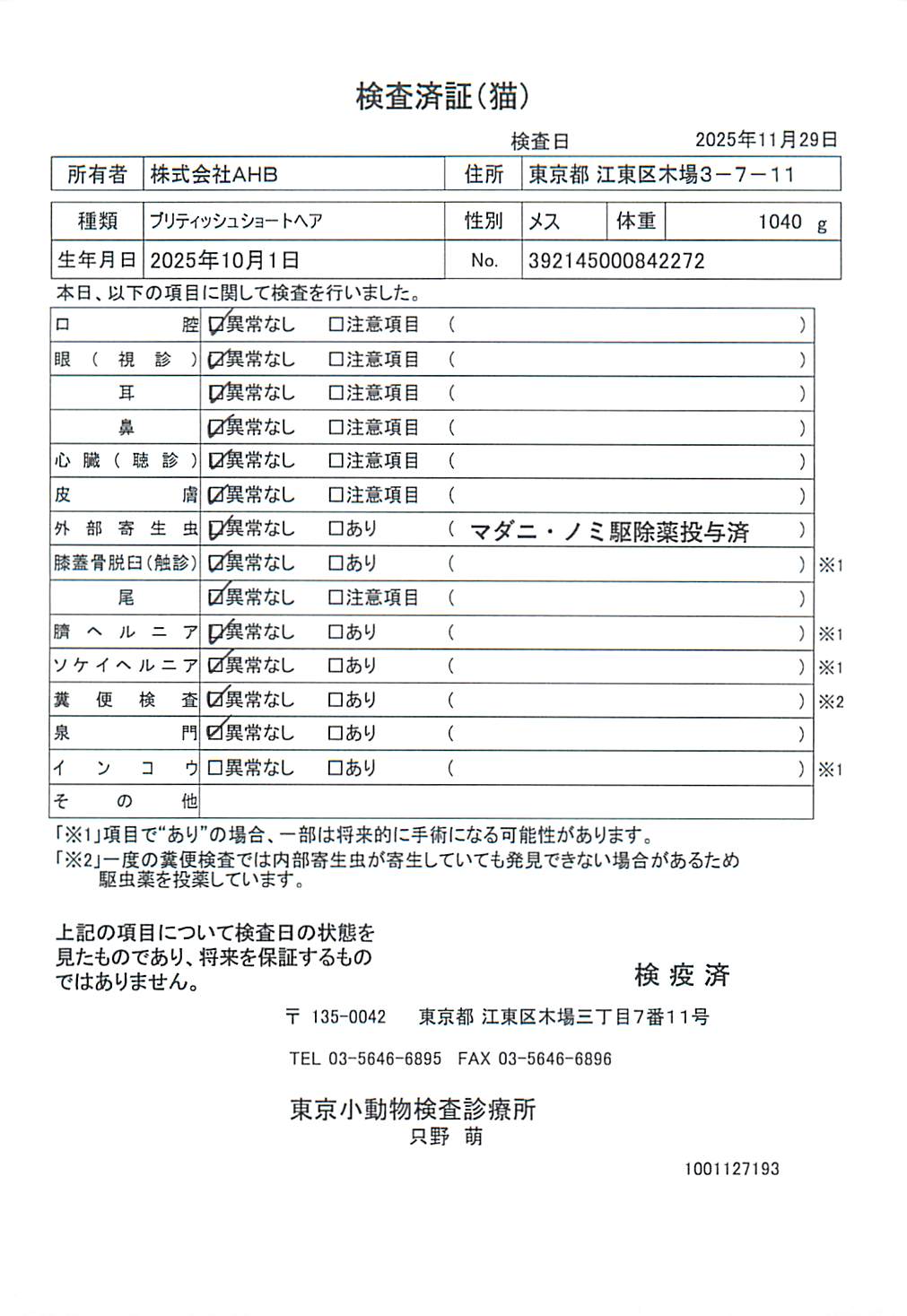 ブリティッシュショートヘア