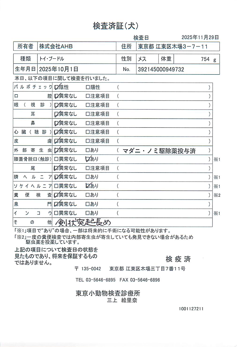 トイ・プードル