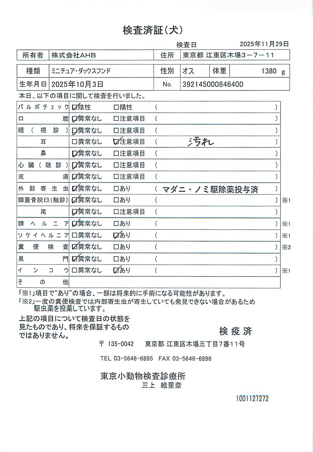 ミニチュア・ダックスフンド