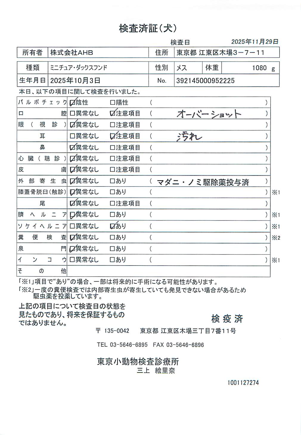 ミニチュア・ダックスフンド