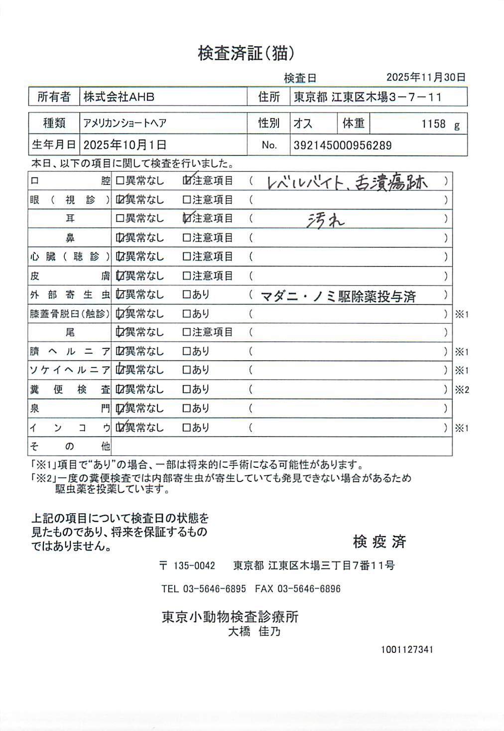 アメリカンショートヘア