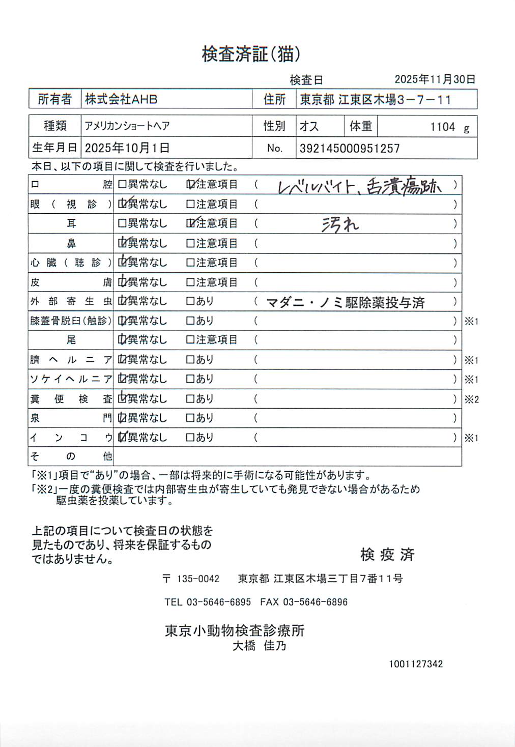 アメリカンショートヘア