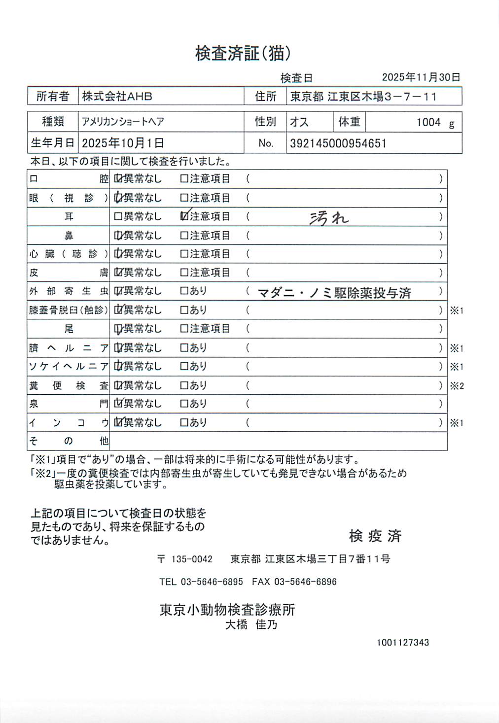 アメリカンショートヘア