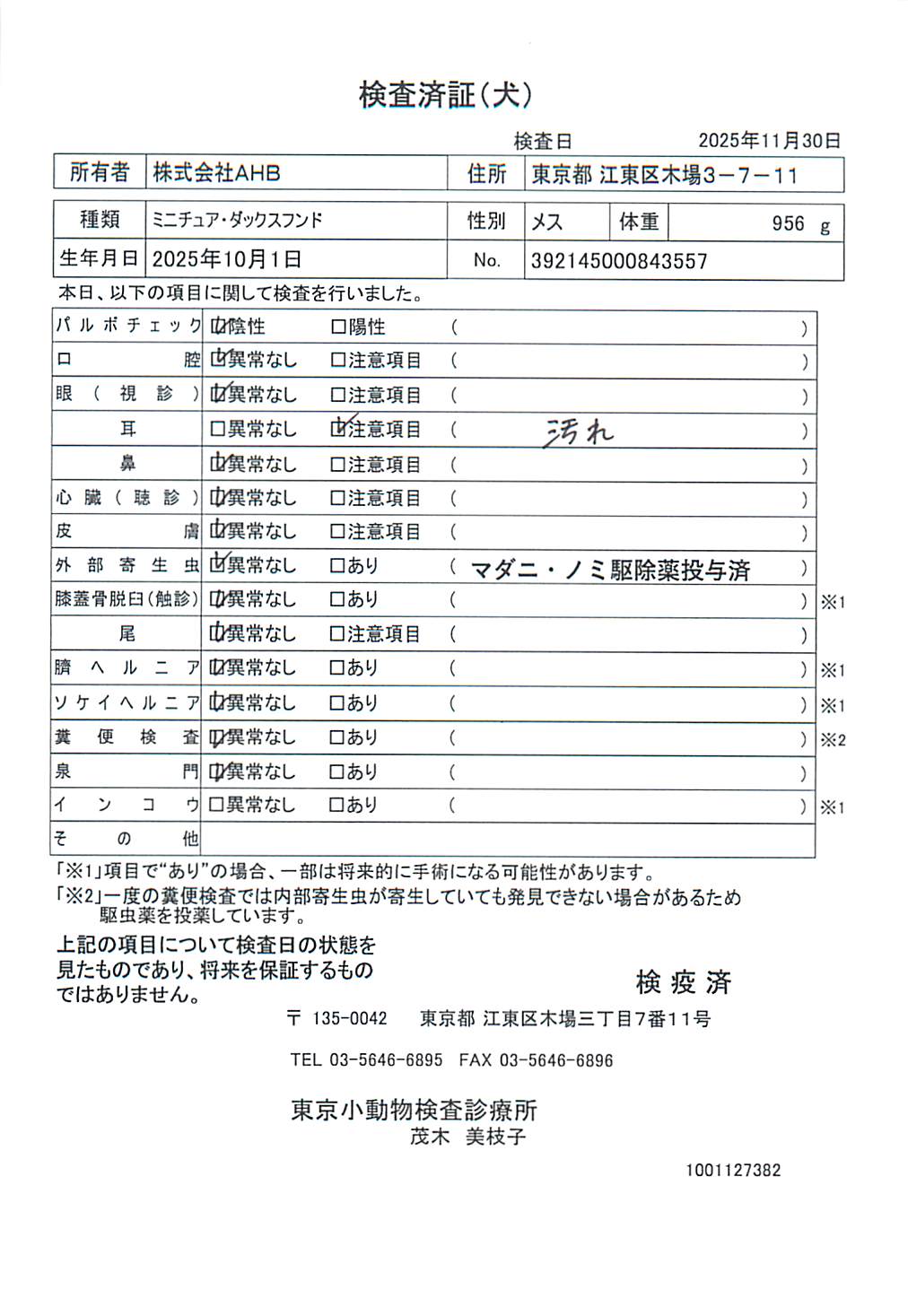 ミニチュア・ダックスフンド