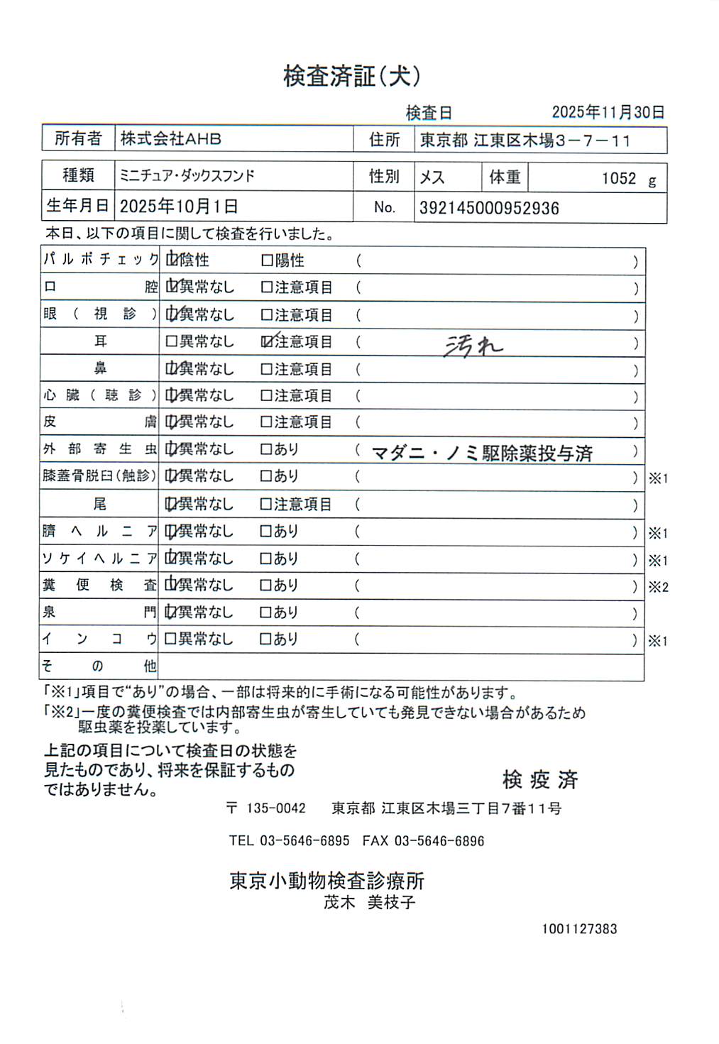 ミニチュア・ダックスフンド
