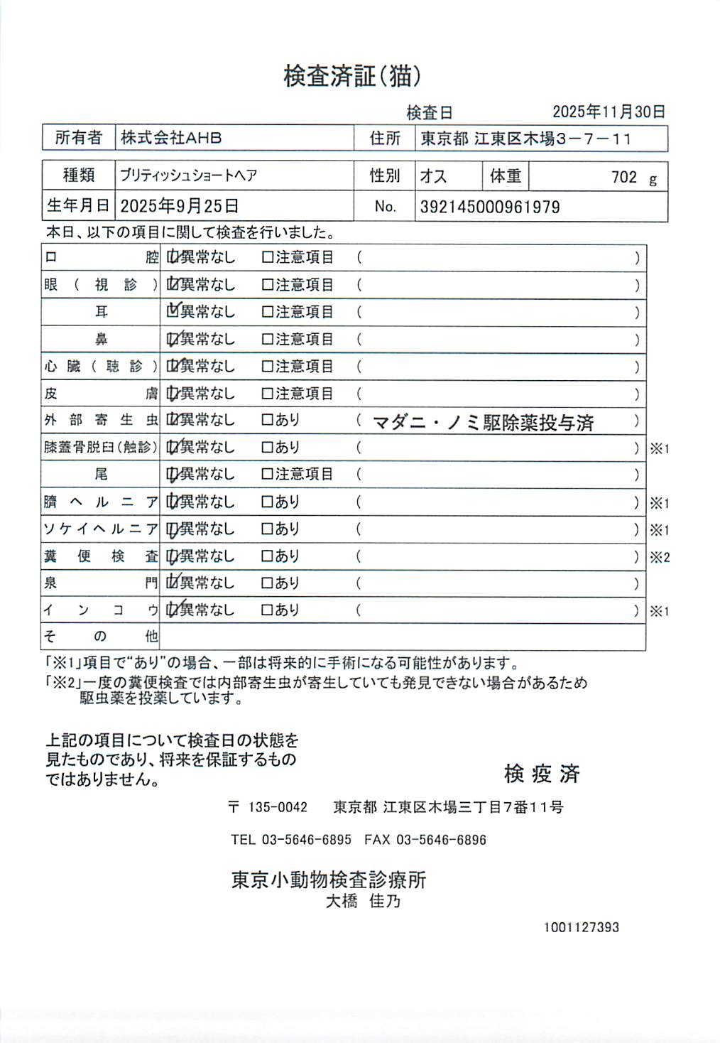 ブリティッシュショートヘア