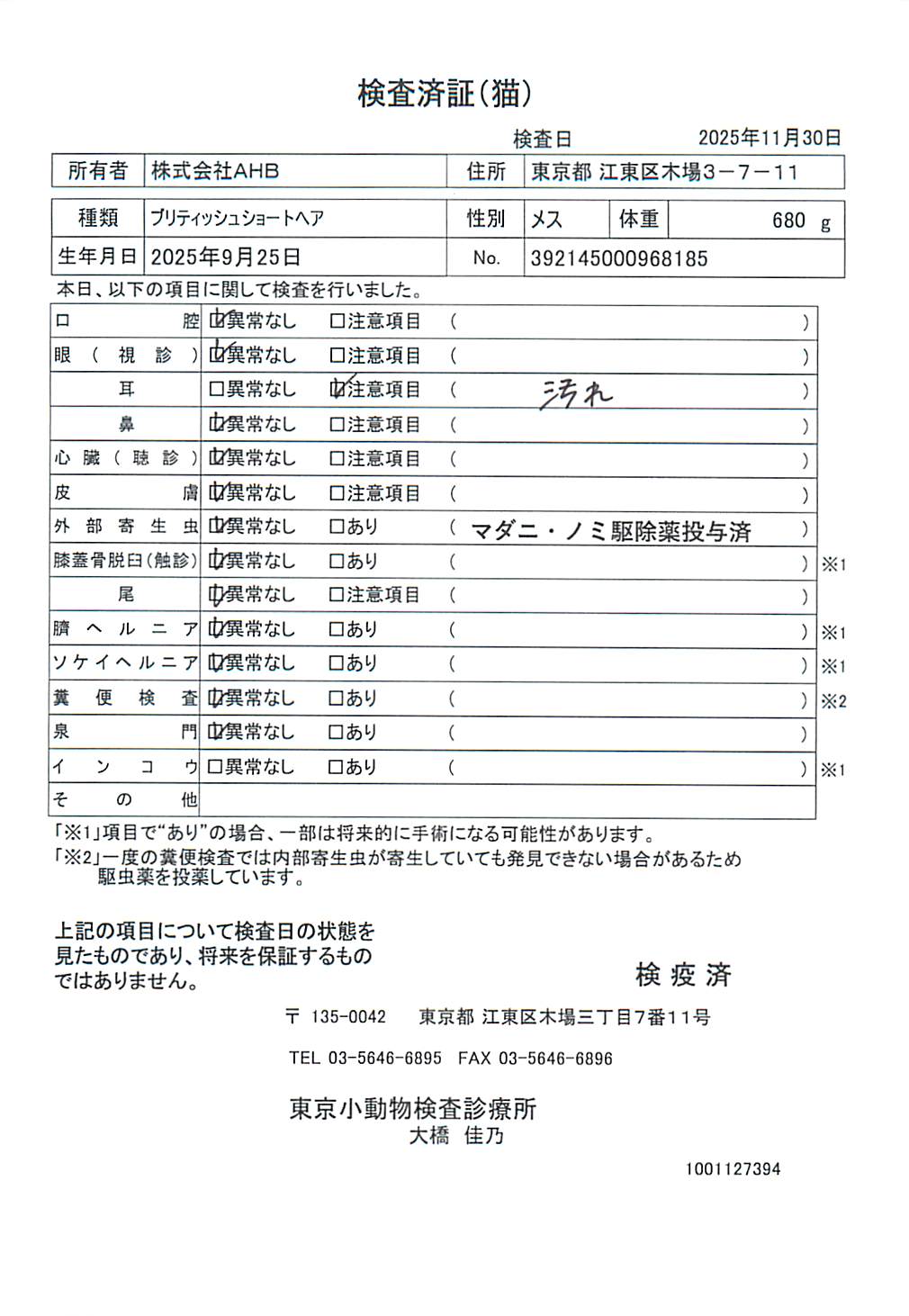 ブリティッシュショートヘア