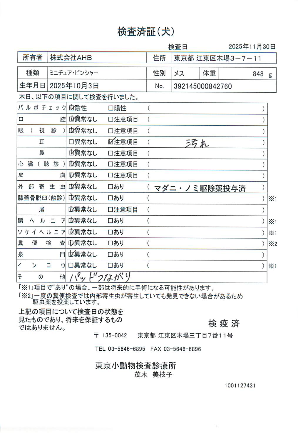 ミニチュア・ピンシャー