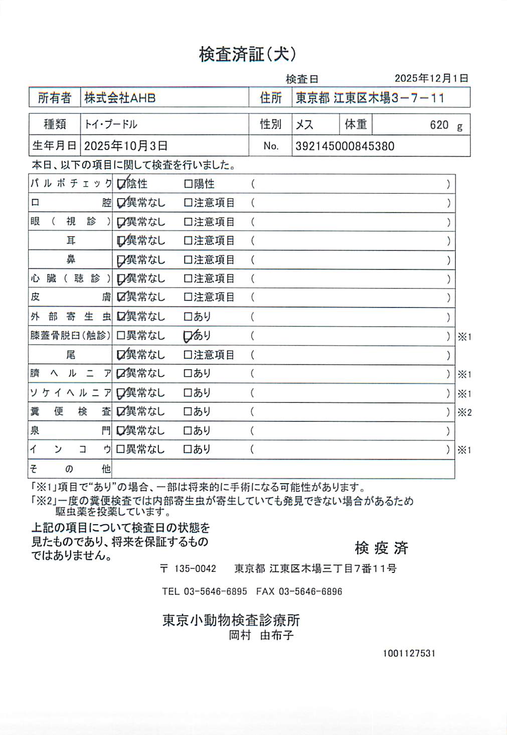 トイ・プードル