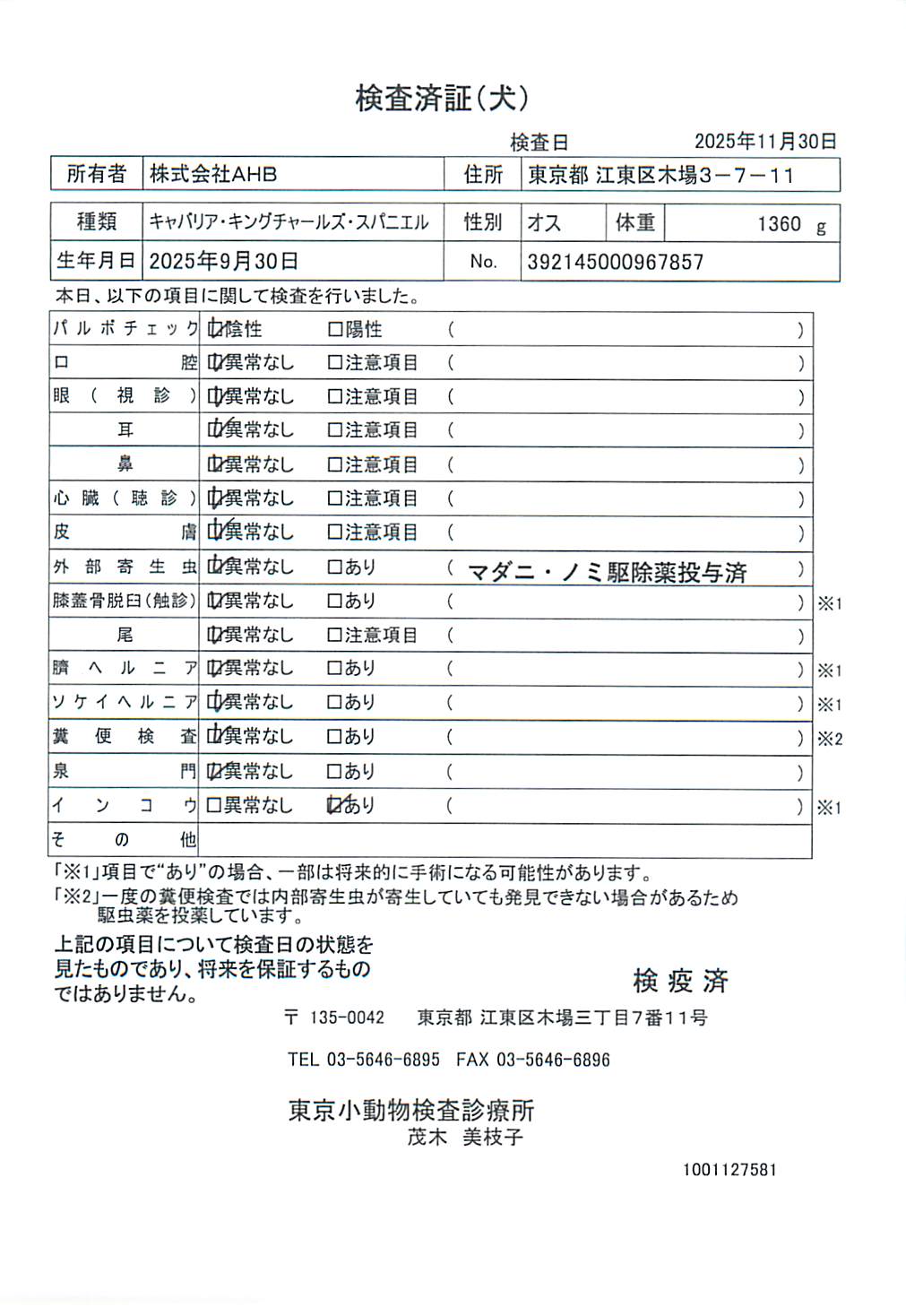 キャバリア・キングチャールズ・スパニエル