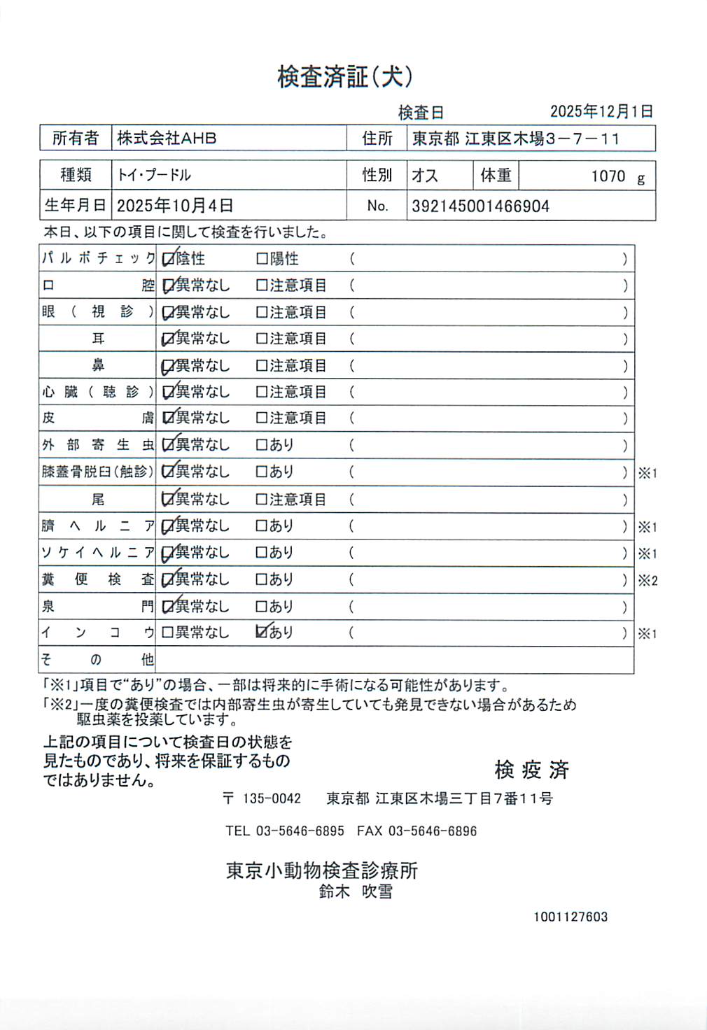 トイ・プードル