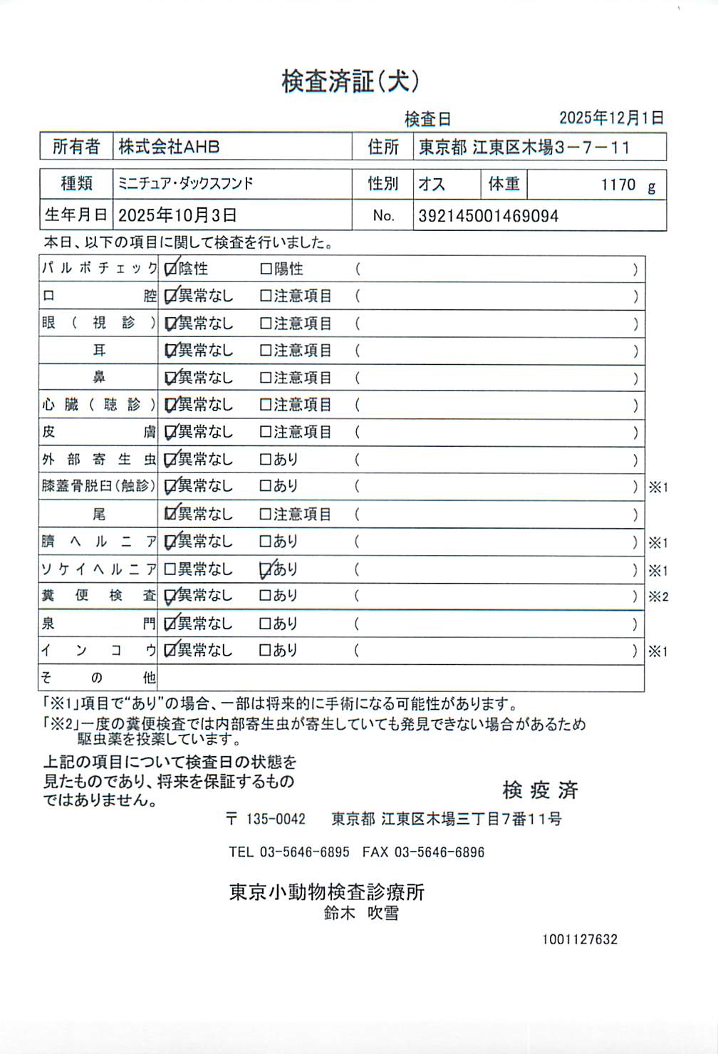 ミニチュア・ダックスフンド