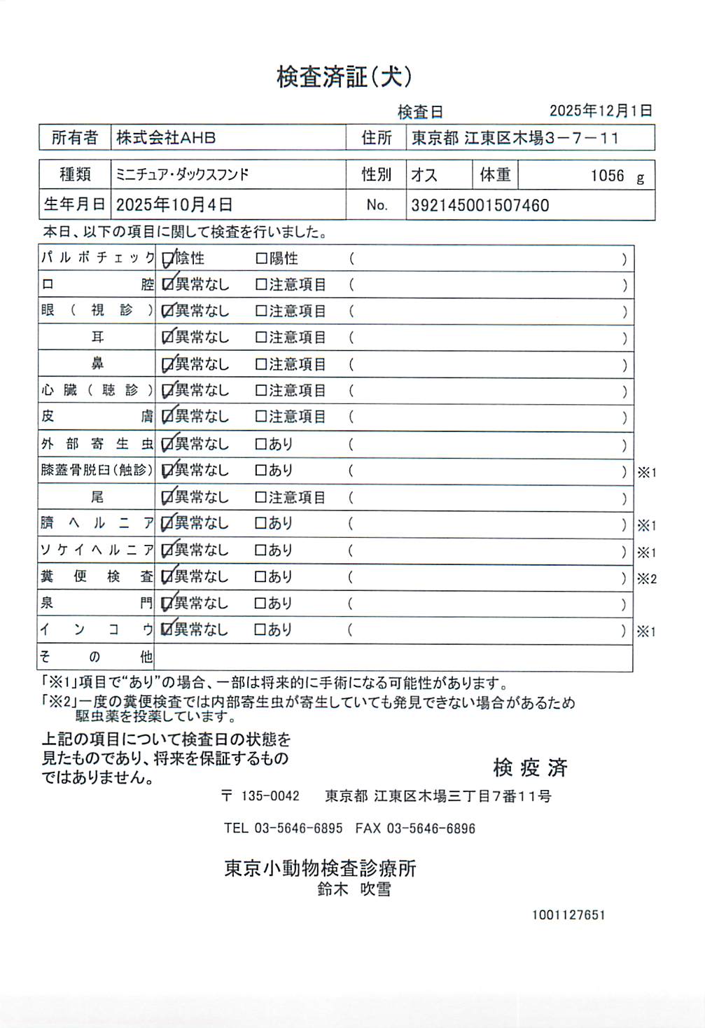 ミニチュア・ダックスフンド