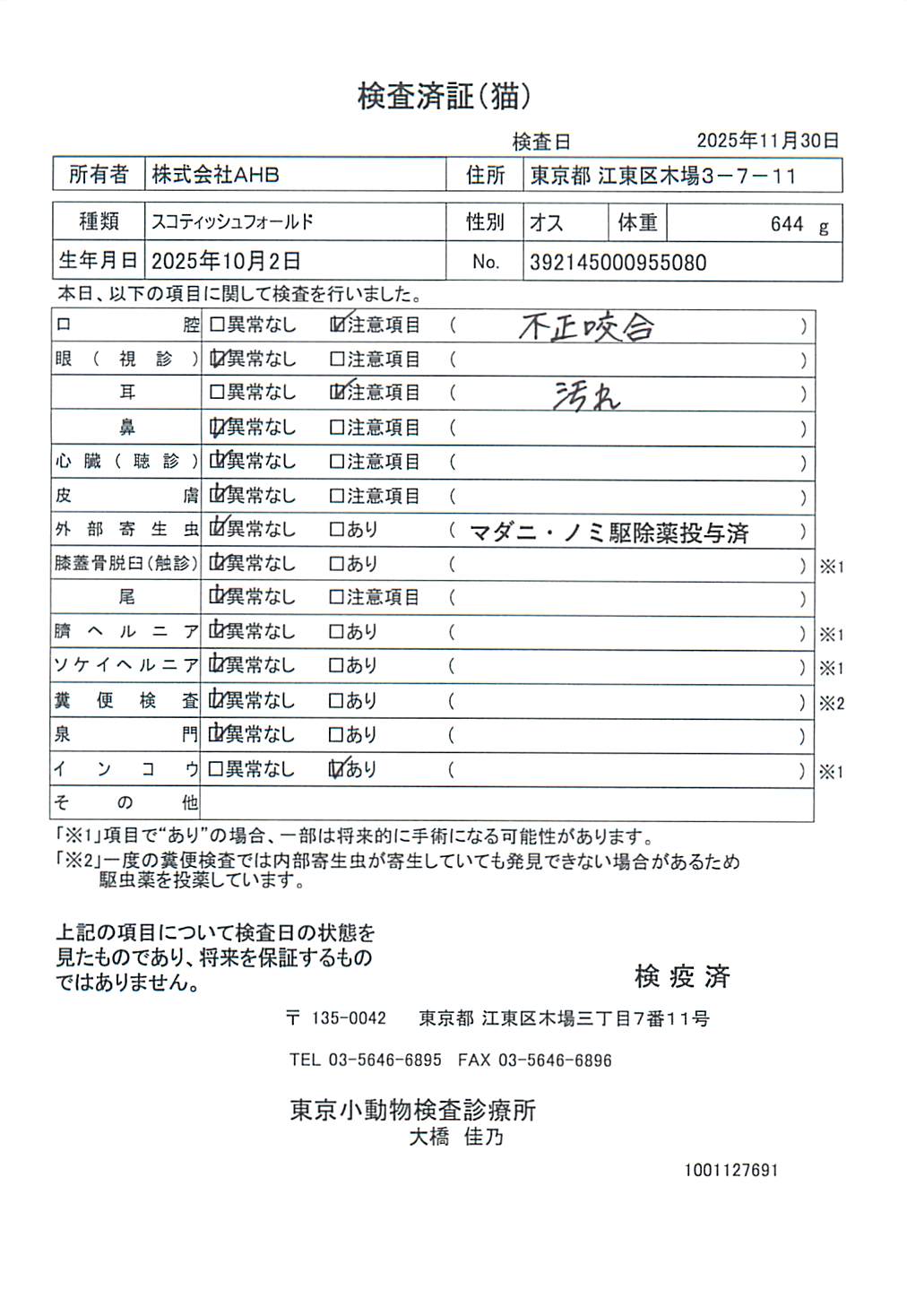 スコティッシュフォールド