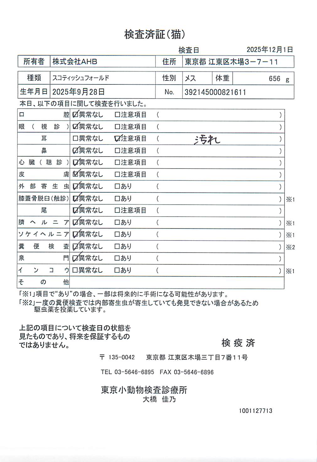 スコティッシュフォールド