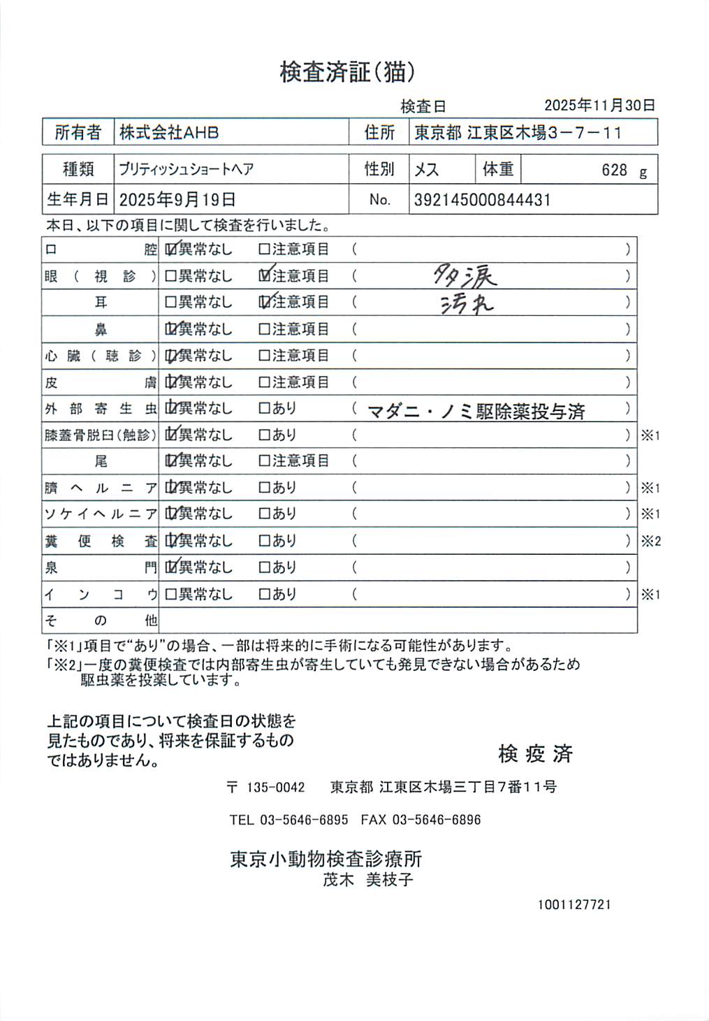 ブリティッシュショートヘア
