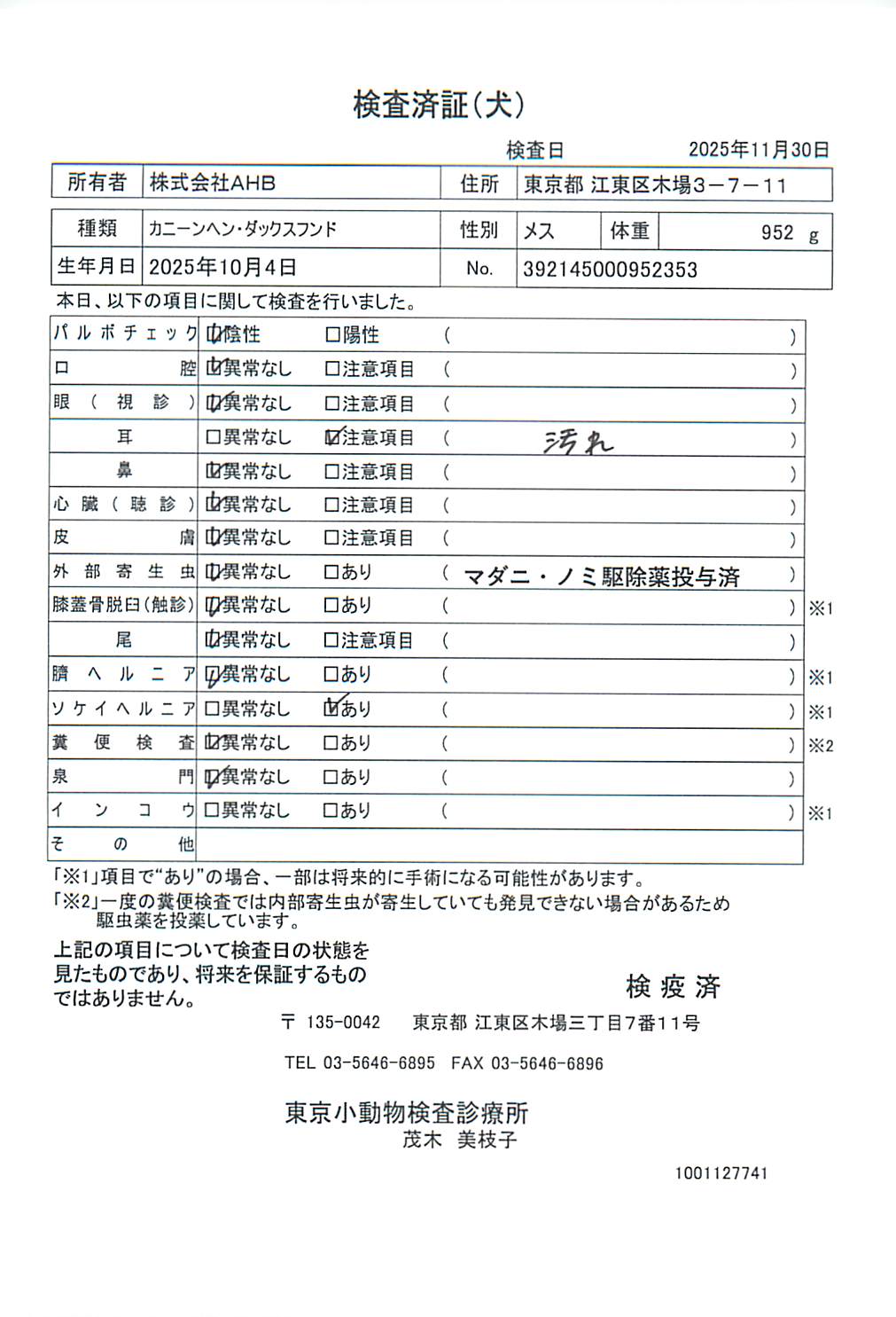 カニーンヘン・ダックスフンド