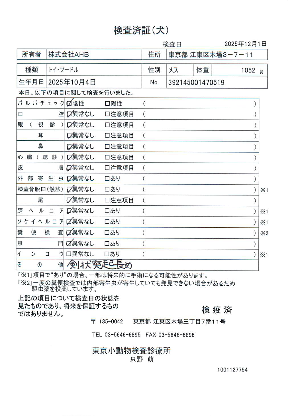 トイ・プードル