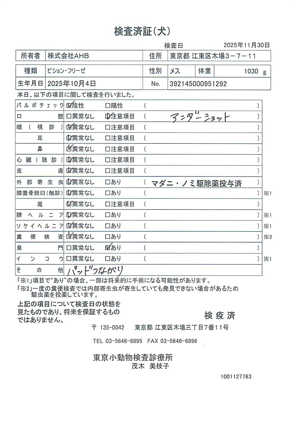 ビション・フリーゼ