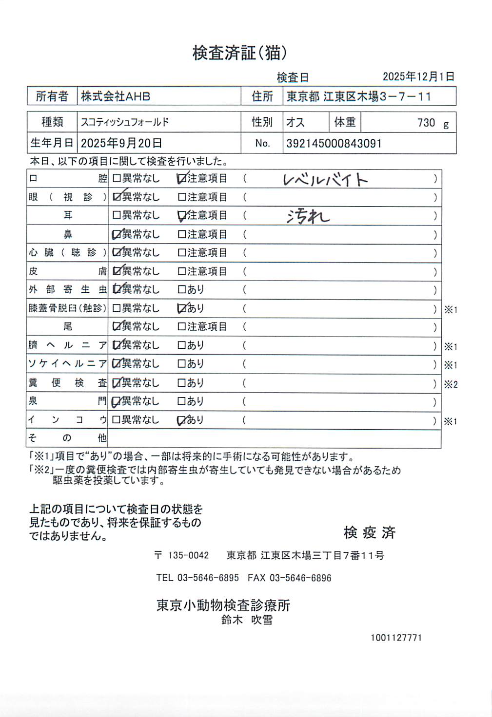 スコティッシュフォールド