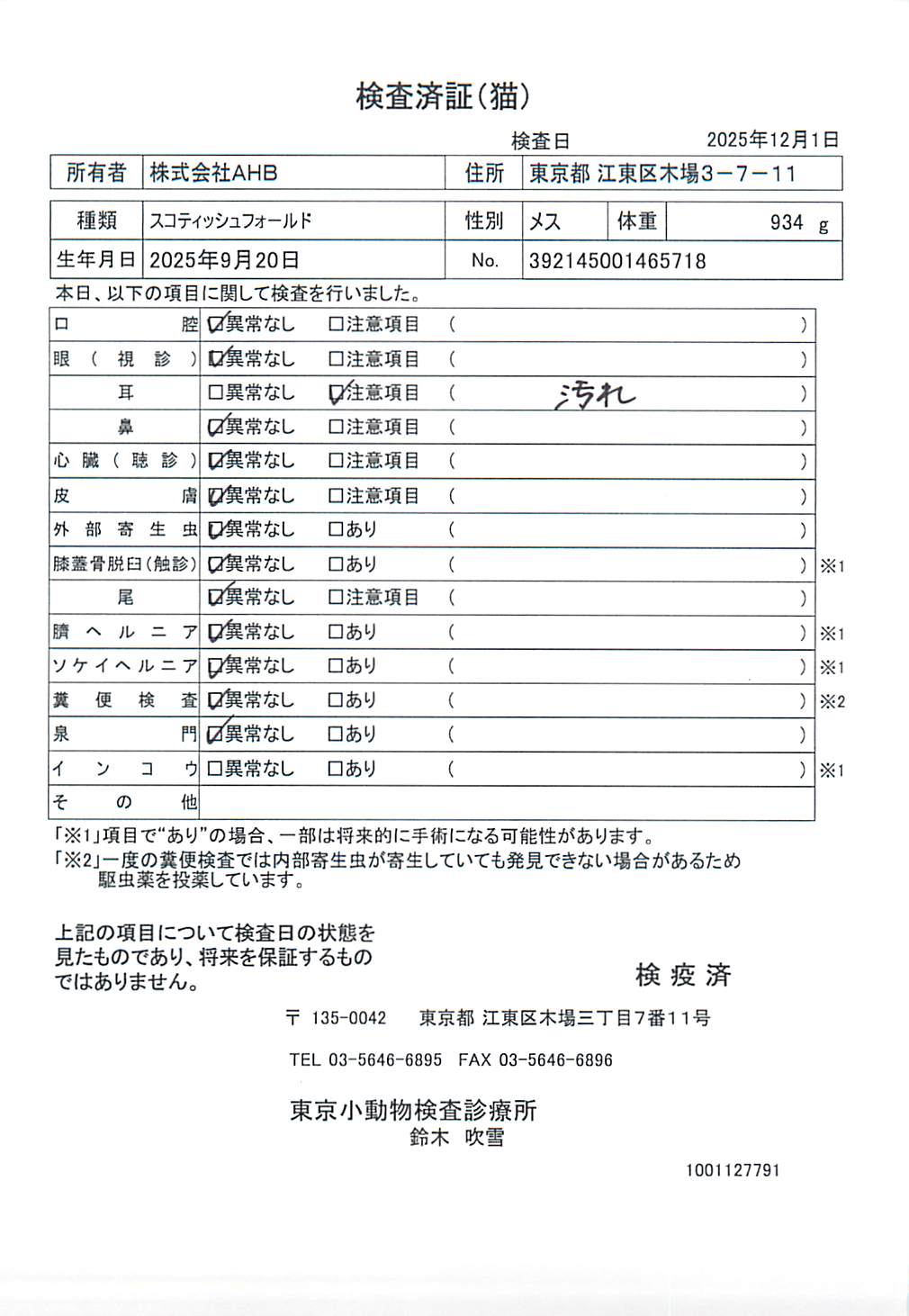 スコティッシュフォールド