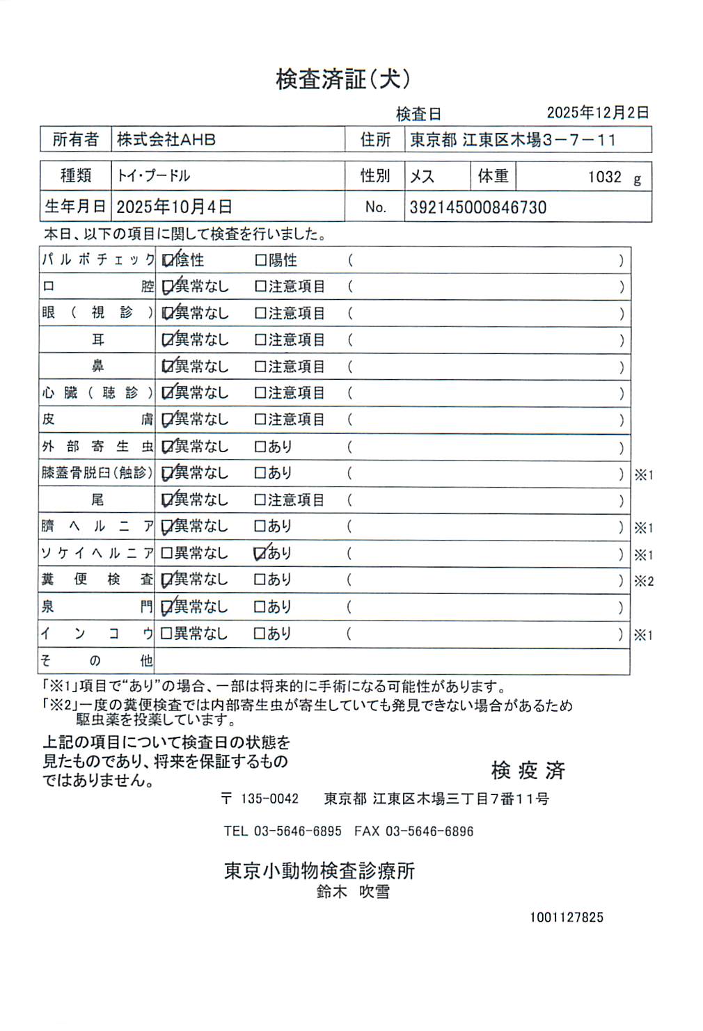 トイ・プードル