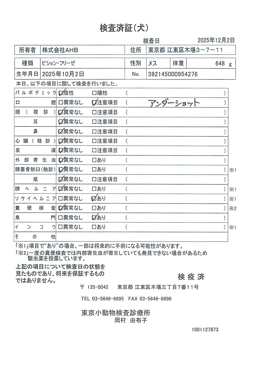 ビション・フリーゼ