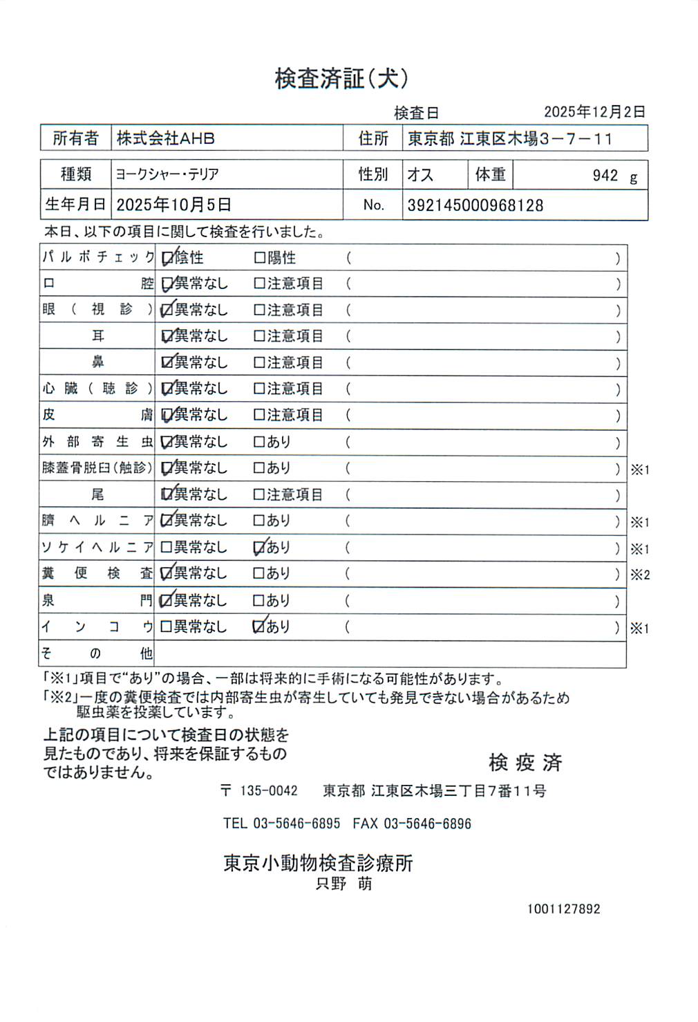 ヨークシャー・テリア