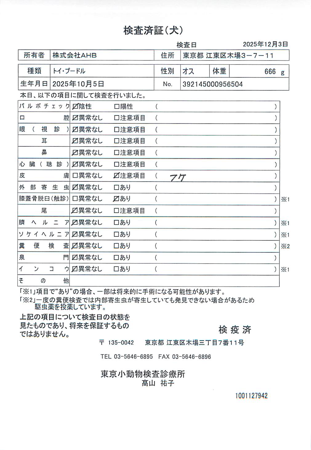 トイ・プードル