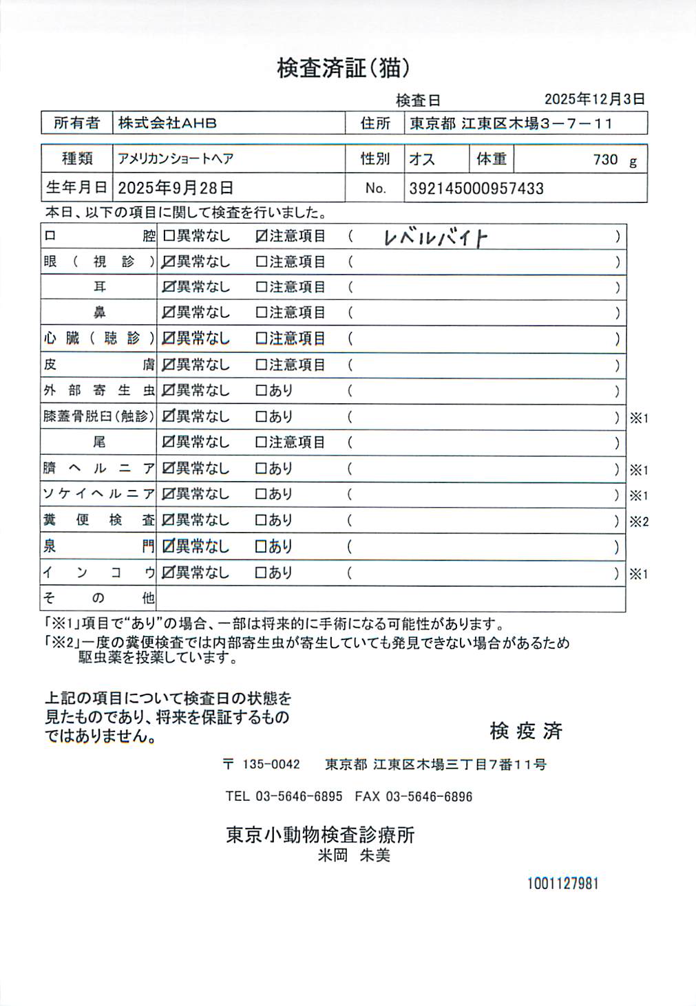 アメリカンショートヘア