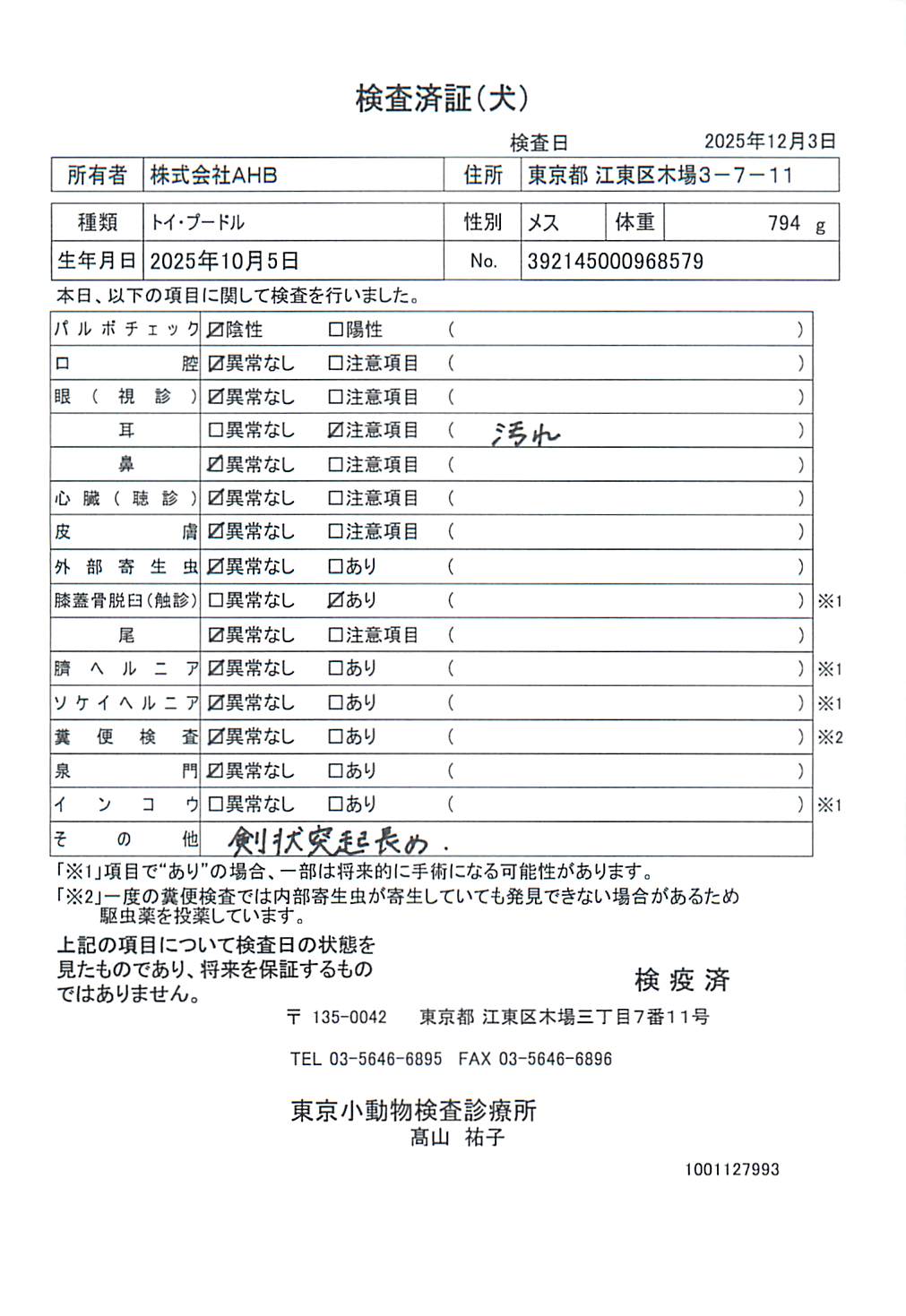 トイ・プードル