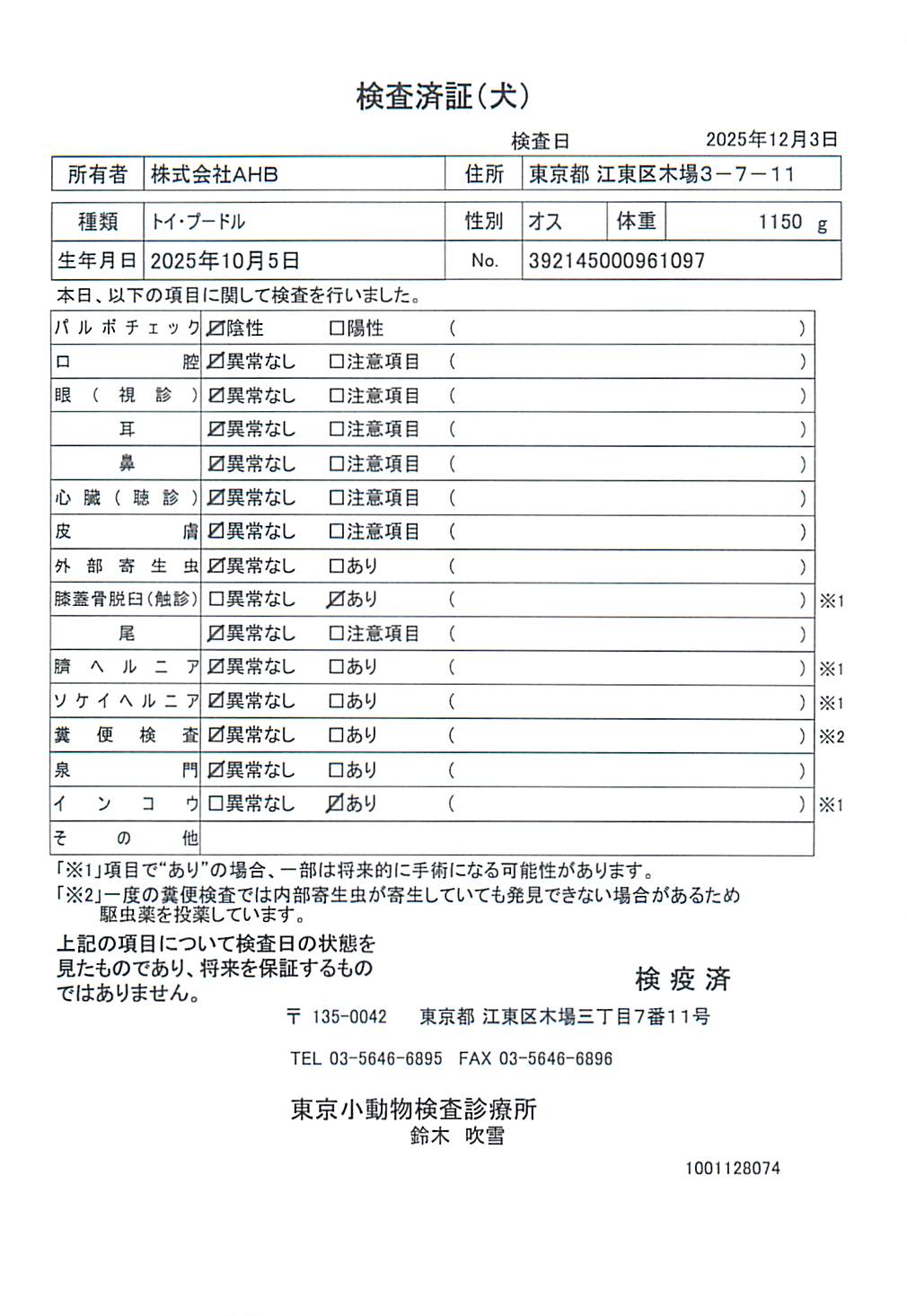 トイ・プードル