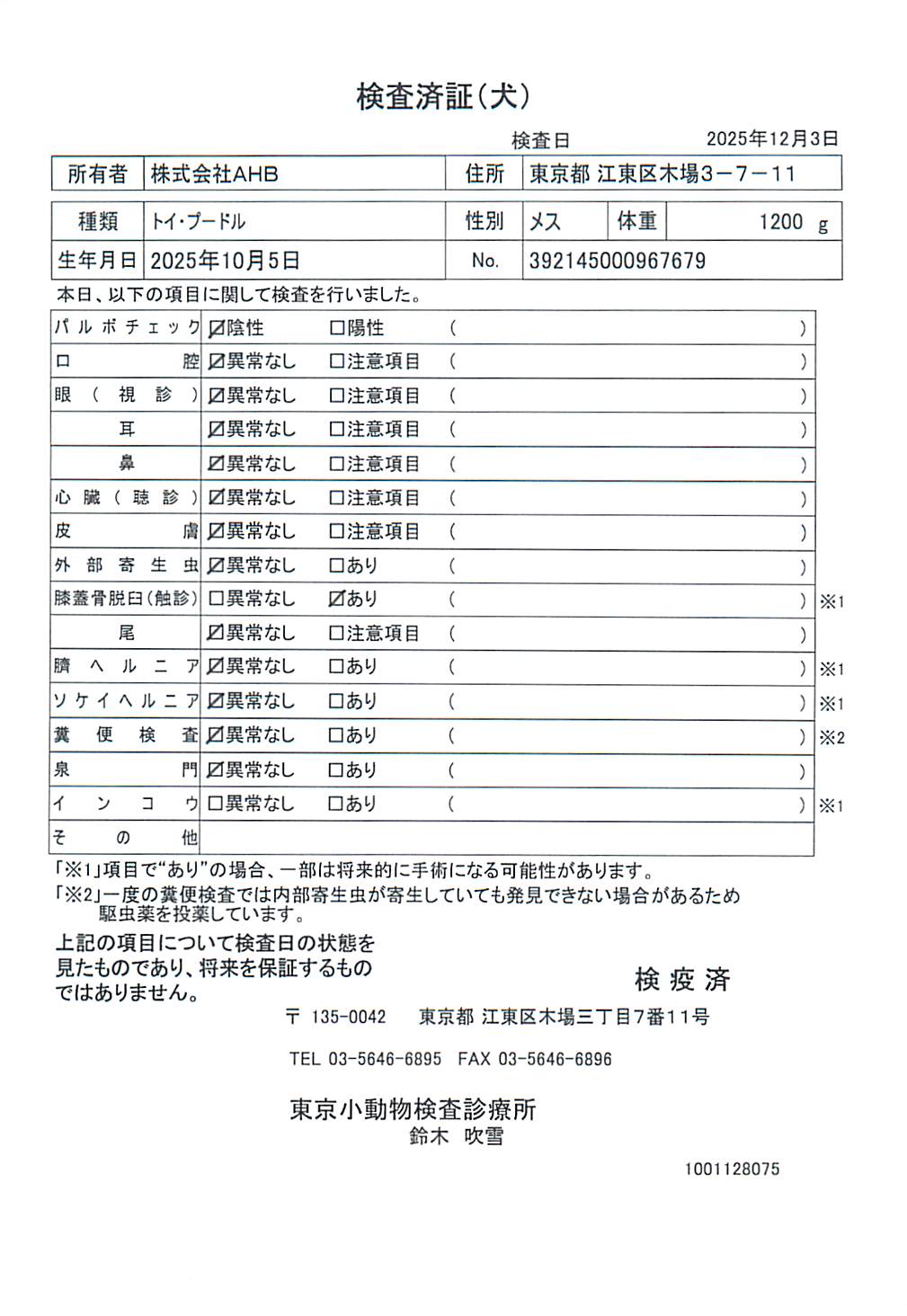 トイ・プードル