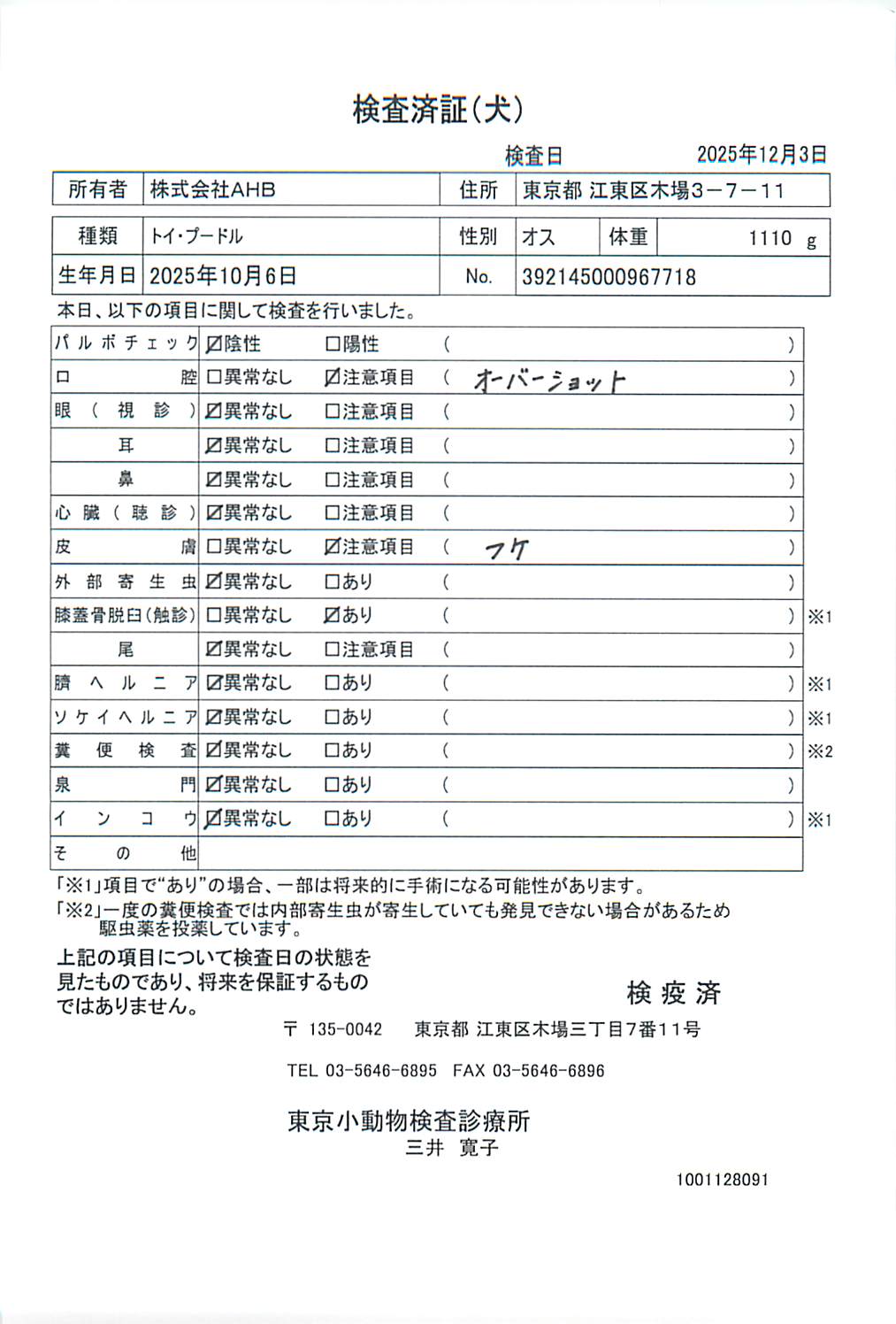 トイ・プードル
