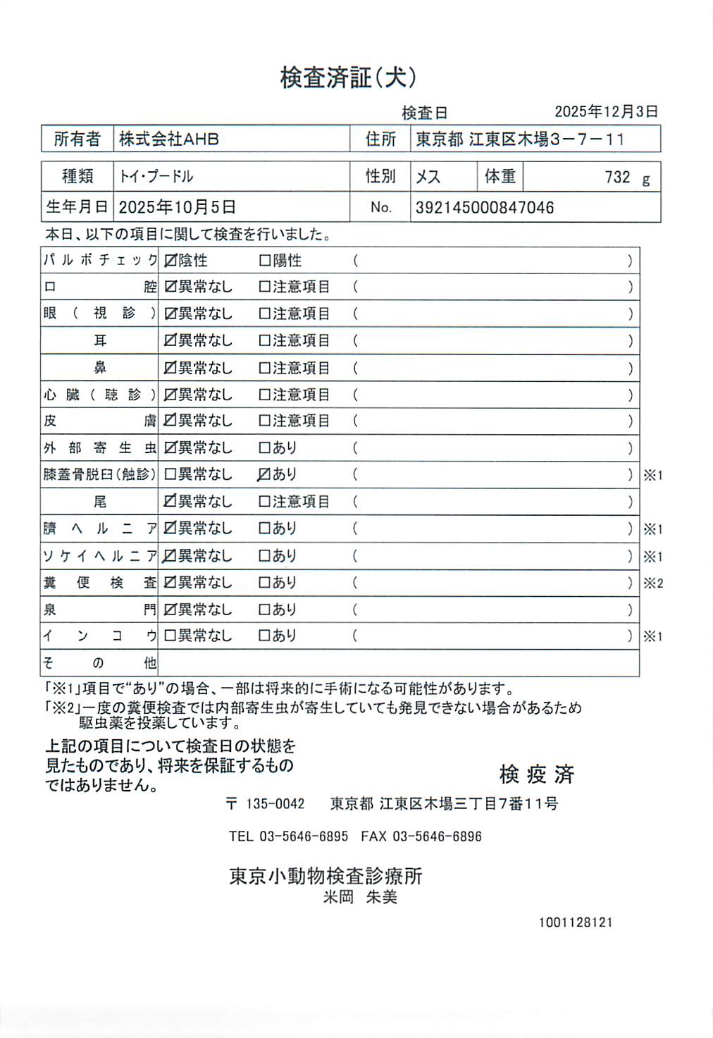 トイ・プードル