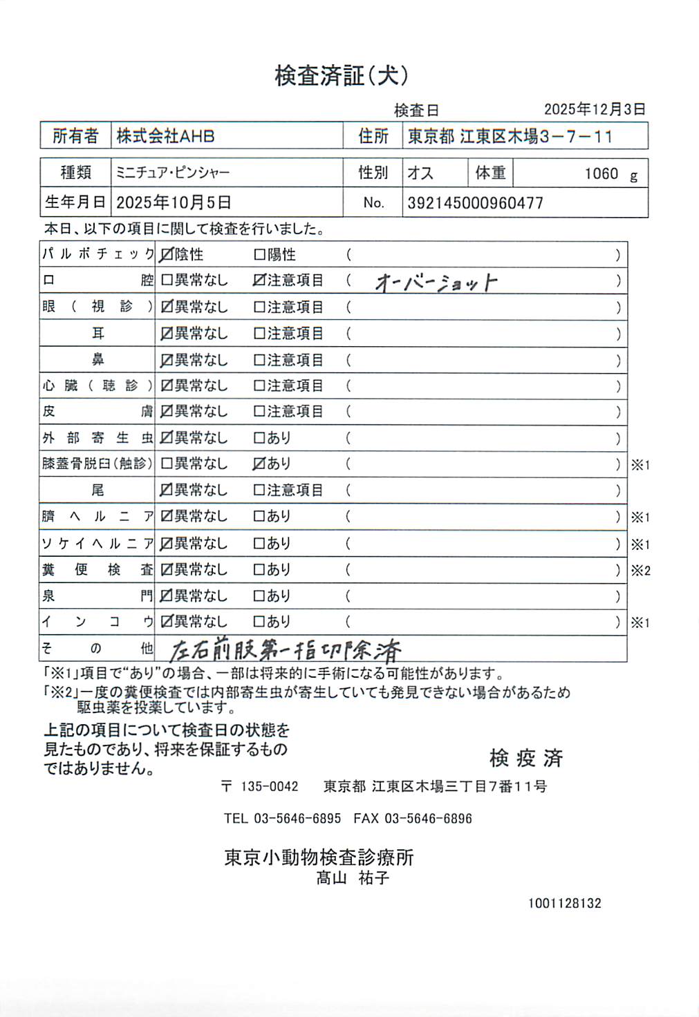 ミニチュア・ピンシャー