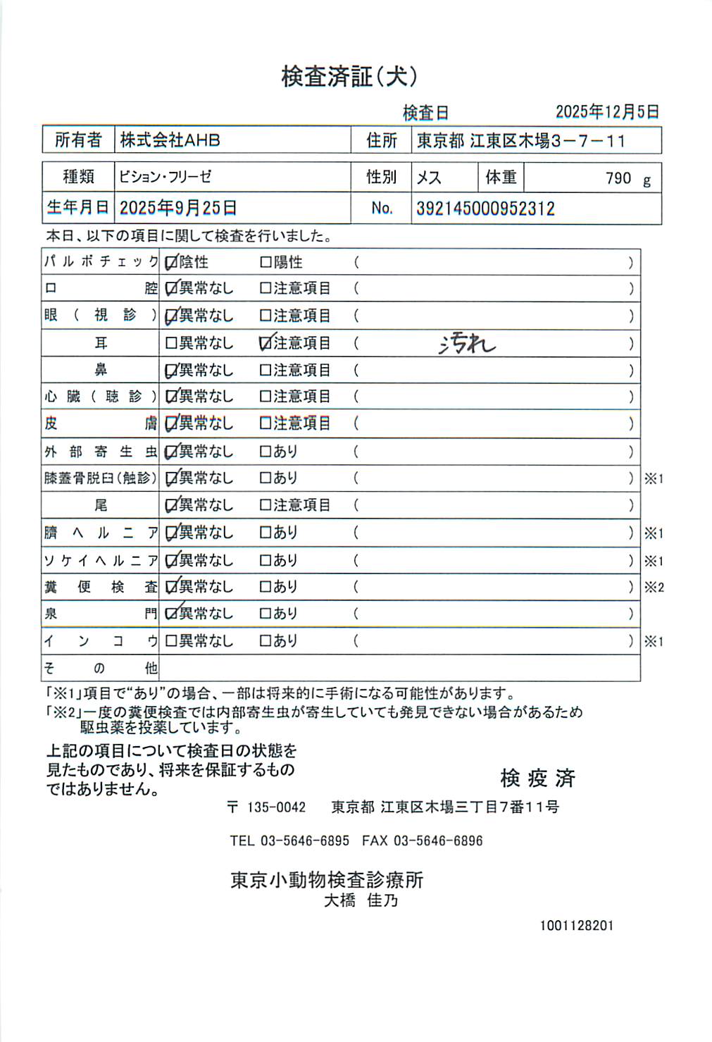 ビション・フリーゼ